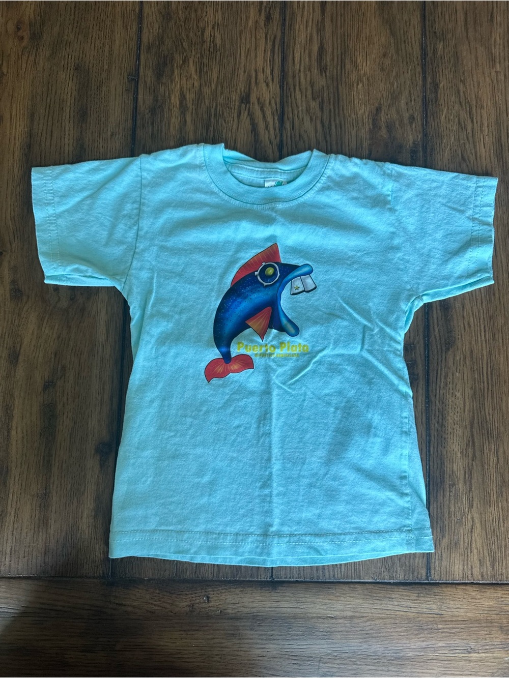 Light Blue Puerto Plata Children’s Graphic Tee